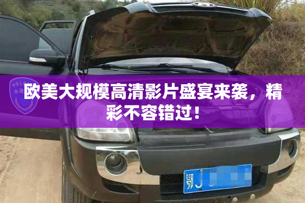 欧美大规模高清影片盛宴来袭，精彩不容错过！
