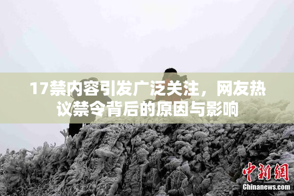 17禁内容引发广泛关注，网友热议禁令背后的原因与影响
