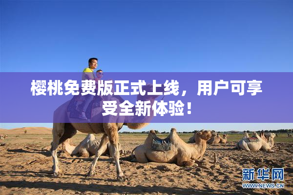 樱桃免费版正式上线，用户可享受全新体验！