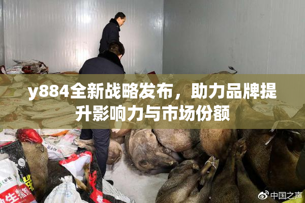 y884全新战略发布，助力品牌提升影响力与市场份额