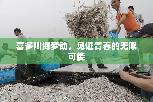 喜多川海梦动，见证青春的无限可能