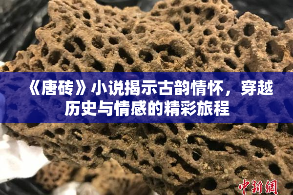 《唐砖》小说揭示古韵情怀，穿越历史与情感的精彩旅程