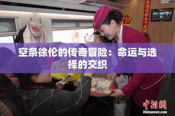 空条徐伦的传奇冒险：命运与选择的交织