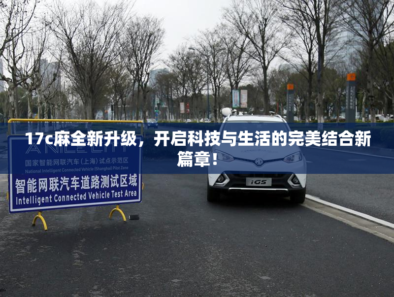 17c麻全新升级，开启科技与生活的完美结合新篇章！