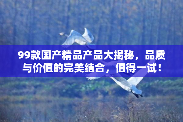 99款国产精品产品大揭秘，品质与价值的完美结合，值得一试！