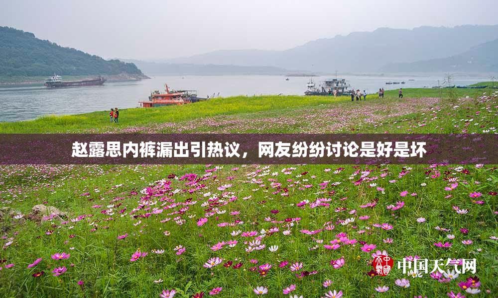 赵露思内裤漏出引热议，网友纷纷讨论是好是坏