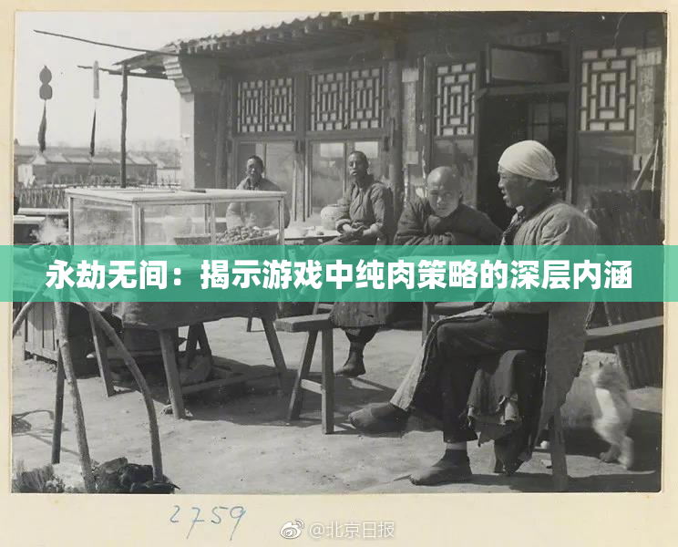 永劫无间：揭示游戏中纯肉策略的深层内涵