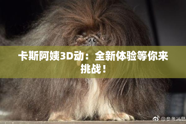 卡斯阿姨3D动：全新体验等你来挑战！