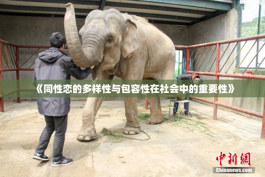《同性恋的多样性与包容性在社会中的重要性》