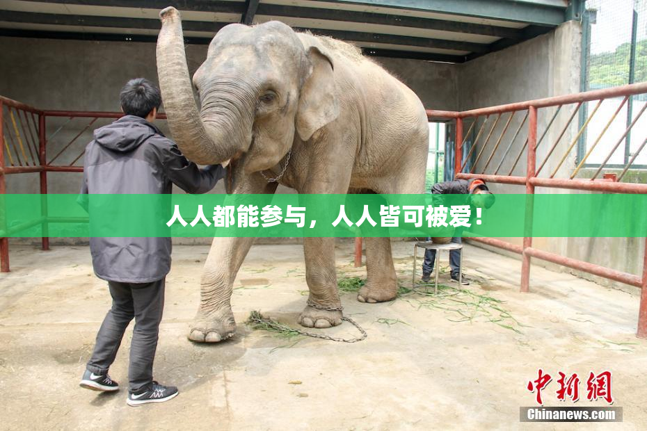 人人都能参与，人人皆可被爱！