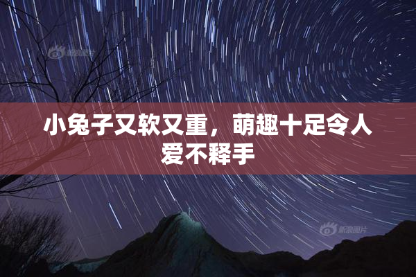 小兔子又软又重，萌趣十足令人爱不释手