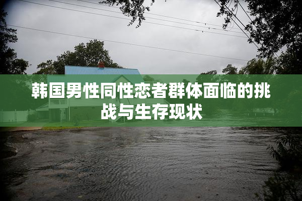 韩国男性同性恋者群体面临的挑战与生存现状
