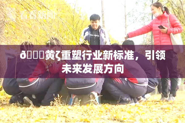 🔞黄ζ重塑行业新标准，引领未来发展方向