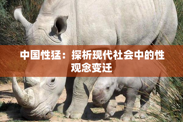 中国性猛：探析现代社会中的性观念变迁