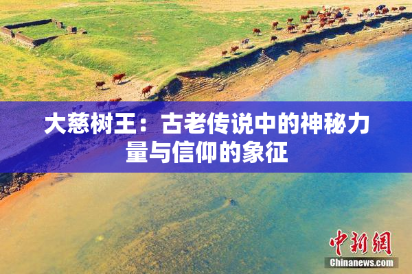 大慈树王：古老传说中的神秘力量与信仰的象征