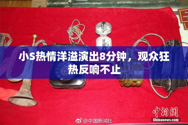 小S热情洋溢演出8分钟，观众狂热反响不止
