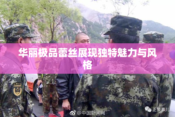 华丽极品蕾丝展现独特魅力与风格