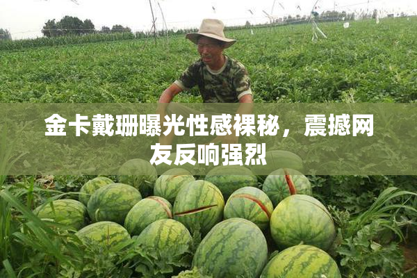 金卡戴珊曝光性感裸秘，震撼网友反响强烈