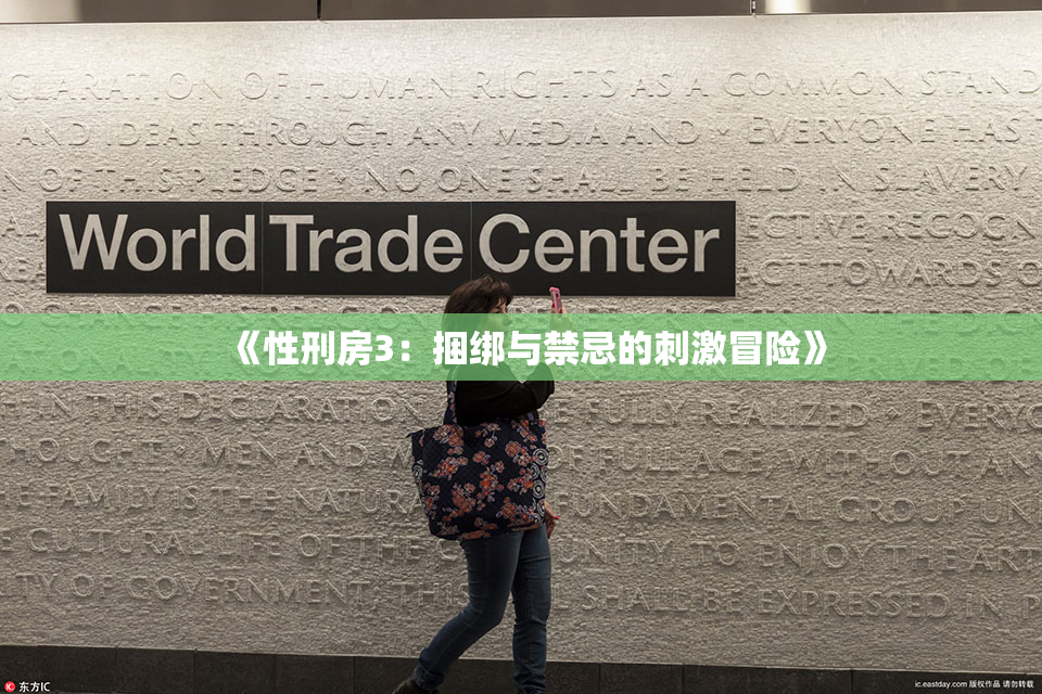 《性刑房3：捆绑与禁忌的刺激冒险》
