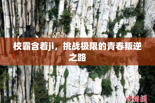 校霸含着ji，挑战极限的青春叛逆之路