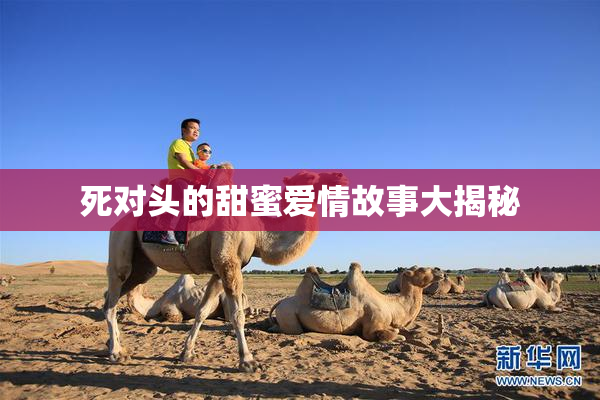 死对头的甜蜜爱情故事大揭秘