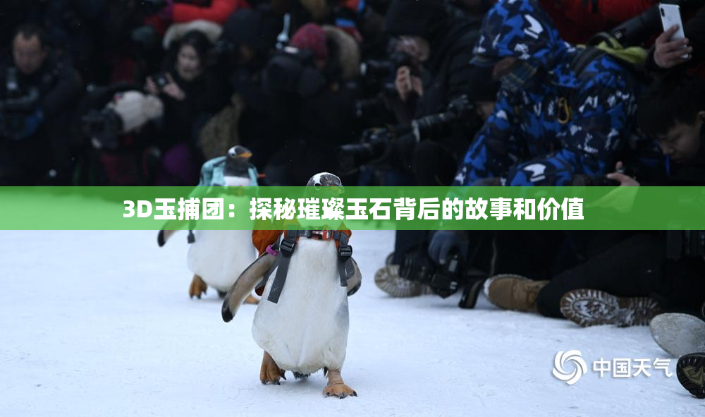 3D玉捕团：探秘璀璨玉石背后的故事和价值