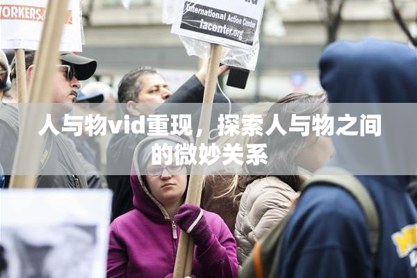 人与物vid重现，探索人与物之间的微妙关系