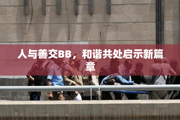 人与善交BB，和谐共处启示新篇章