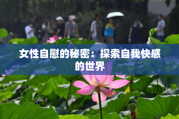 女性自慰的秘密：探索自我快感的世界