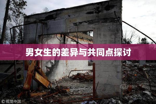 男女生的差异与共同点探讨