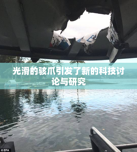光滑的骇爪引发了新的科技讨论与研究