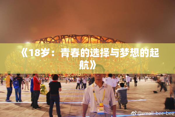 《18岁：青春的选择与梦想的起航》