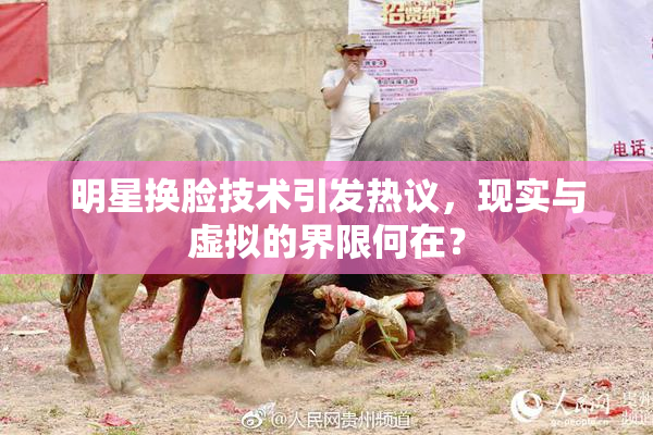 明星换脸技术引发热议，现实与虚拟的界限何在？