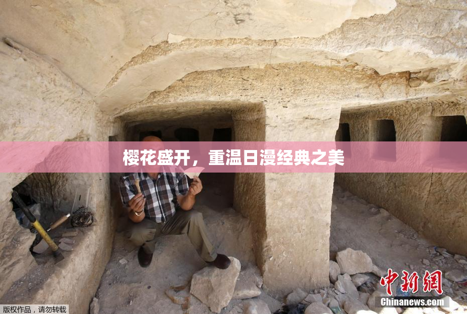 樱花盛开，重温日漫经典之美