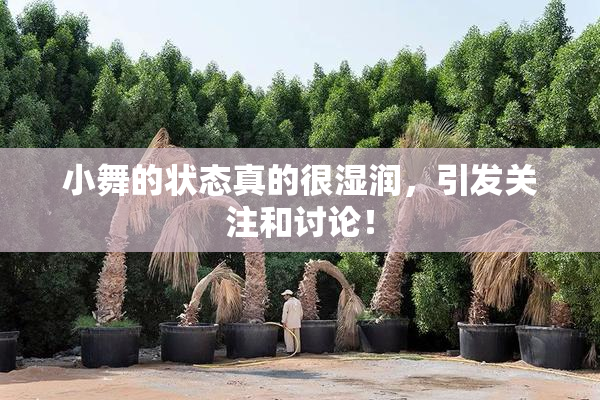 小舞的状态真的很湿润，引发关注和讨论！