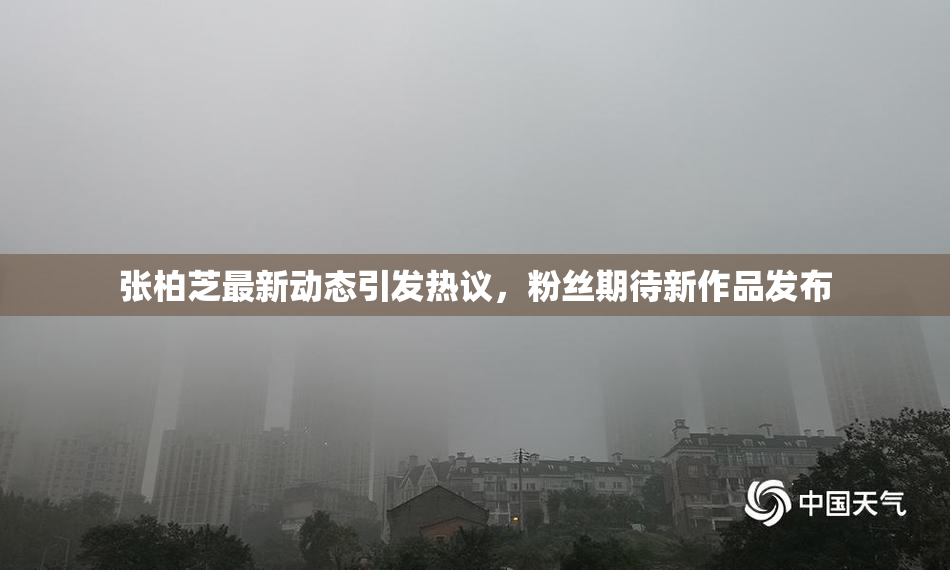 张柏芝最新动态引发热议，粉丝期待新作品发布