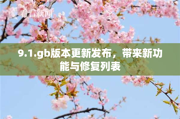 9.1.gb版本更新发布，带来新功能与修复列表