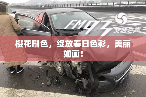 樱花刷色，绽放春日色彩，美丽如画！