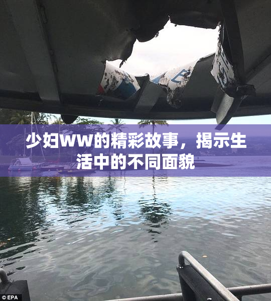 少妇WW的精彩故事，揭示生活中的不同面貌