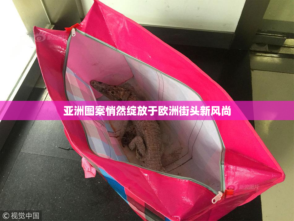 亚洲图案悄然绽放于欧洲街头新风尚