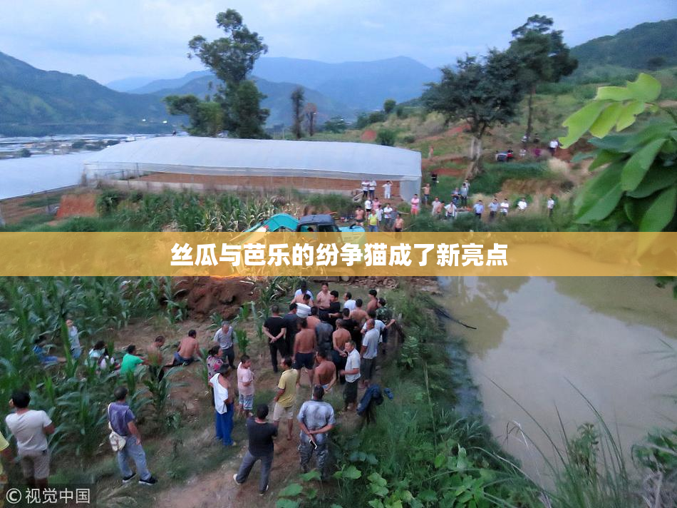 丝瓜与芭乐的纷争猫成了新亮点