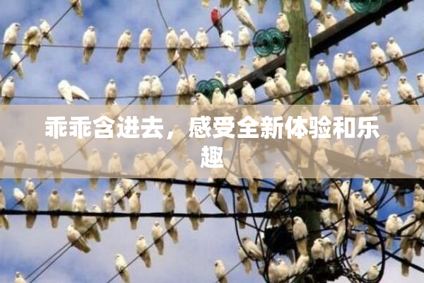 乖乖含进去，感受全新体验和乐趣