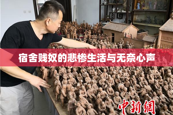 宿舍贱奴的悲惨生活与无奈心声