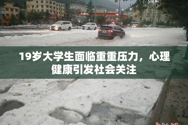 19岁大学生面临重重压力，心理健康引发社会关注