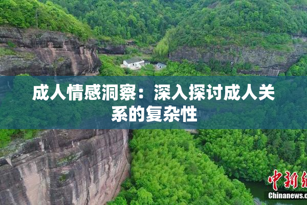 成人情感洞察：深入探讨成人关系的复杂性