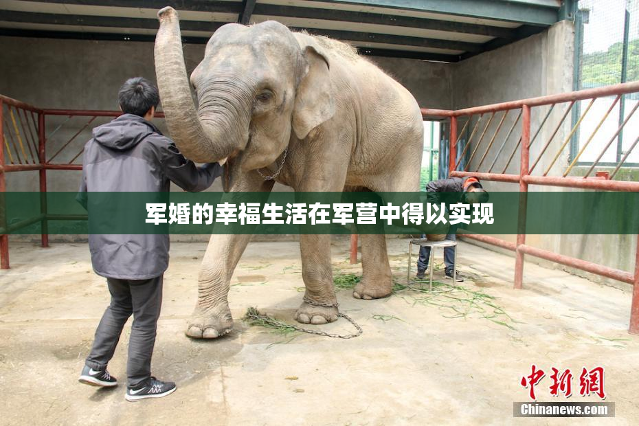 军婚的幸福生活在军营中得以实现