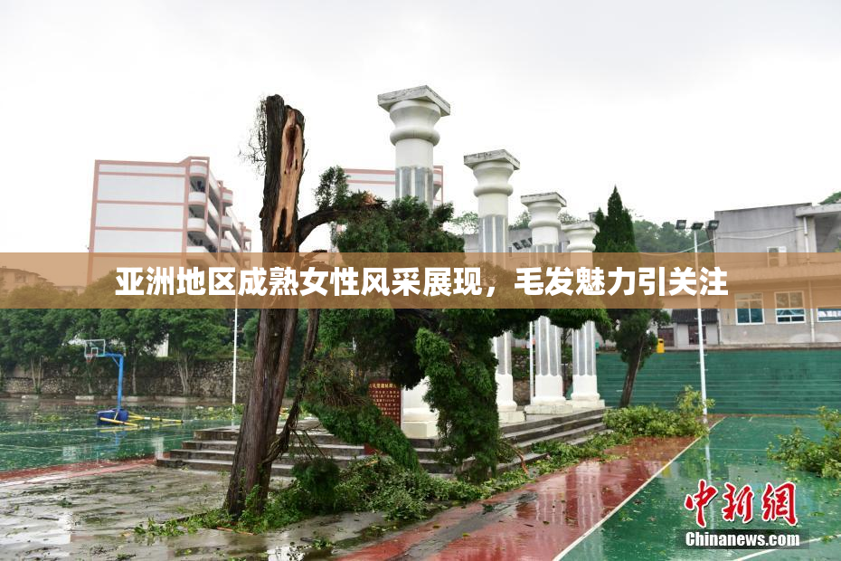 亚洲地区成熟女性风采展现，毛发魅力引关注