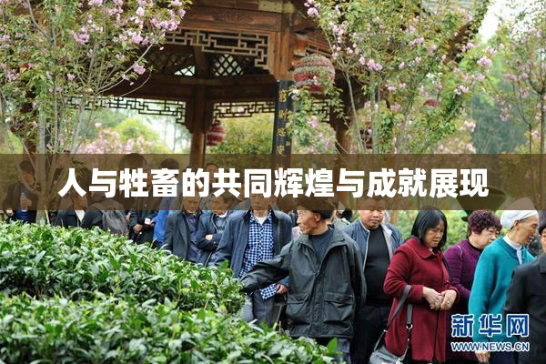 人与牲畜的共同辉煌与成就展现