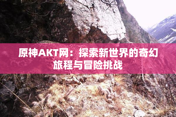 原神AKT网：探索新世界的奇幻旅程与冒险挑战