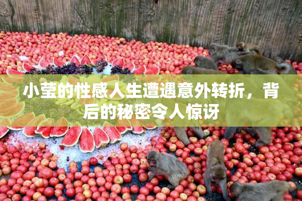 小莹的性感人生遭遇意外转折，背后的秘密令人惊讶
